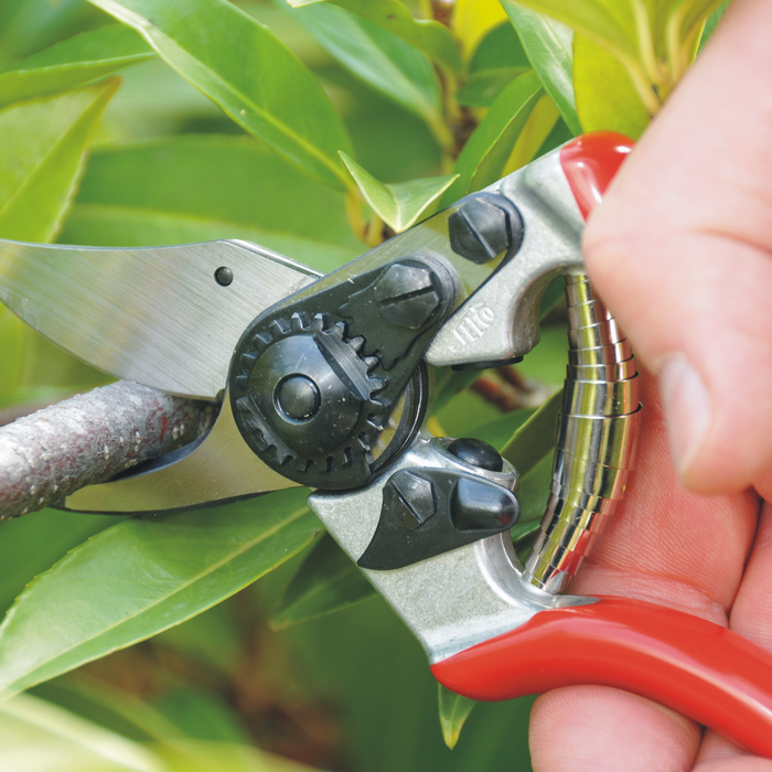 Felco 6 Snoeischaar  - Rechtshandig - Knipt tot 20 mm
