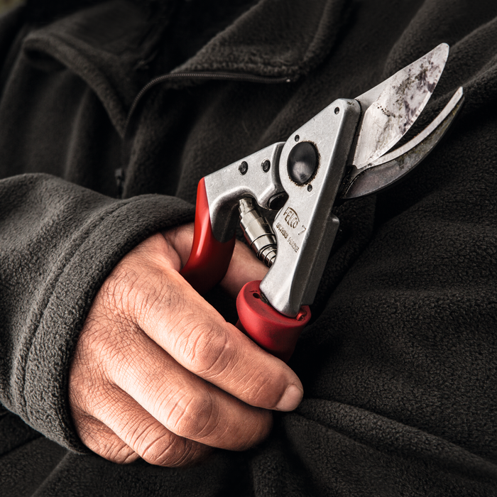 Felco 7 Snoeischaar - Rolhandgreep - Intensief gebruik