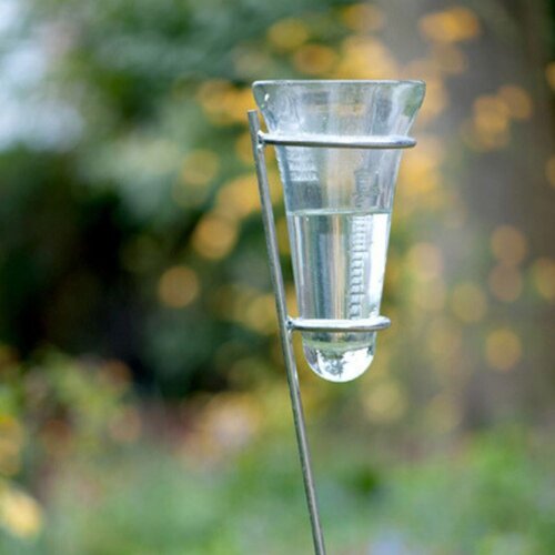 Esschert Design Reserveglas Regenmeter - Pro - 22,5 cm