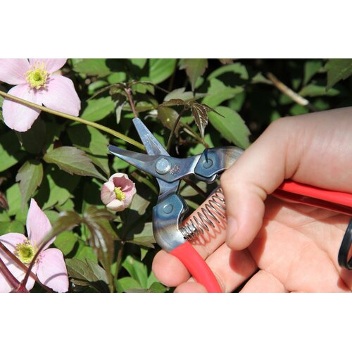 ARS Dunschaar - Gebogen oogstschaar