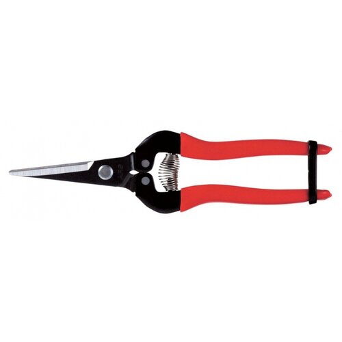 ARS Dunschaar - Recht model