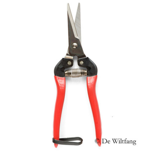 ARS Dunschaar - Recht model