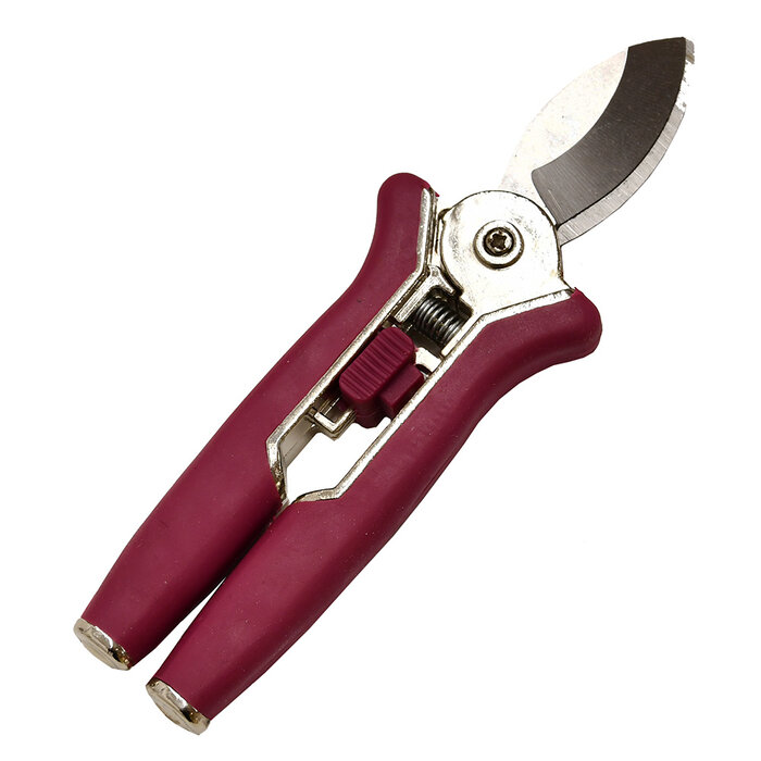 Vive la Fleur Kleintje knip - Bloemenschaar