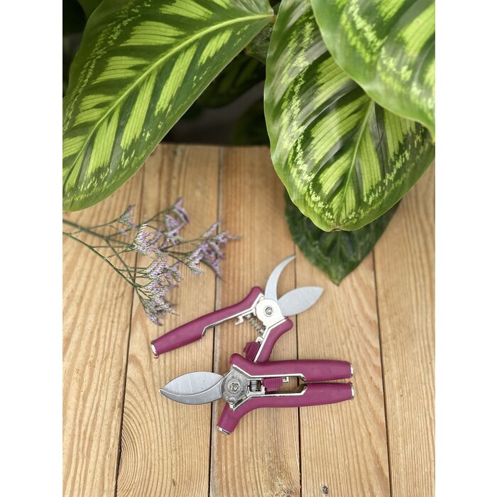 Vive la Fleur Kleintje knip - Bloemenschaar