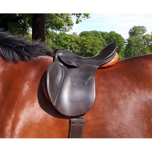 Bionyx Leerreiniger 4 in 1 - 500 ml - 100% biologisch