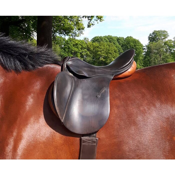 Bionyx Leerreiniger 4 in 1 - 500 ml - 100% biologisch