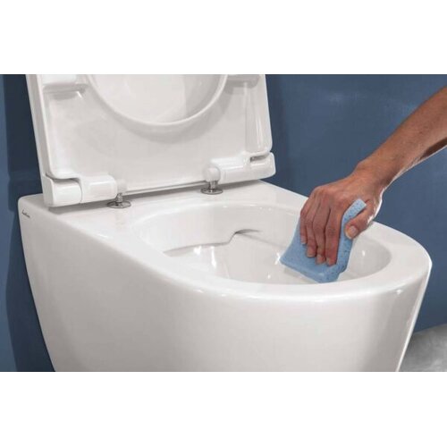 Bionyx Sanitairreiniger - 750 ml - 100% biologisch