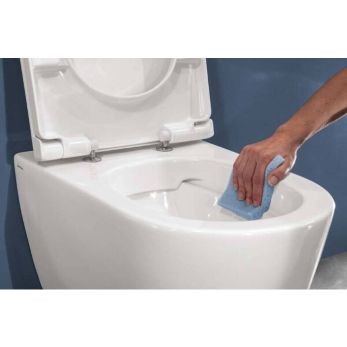 Bionyx Sanitairreiniger - 750 ml - 100% biologisch