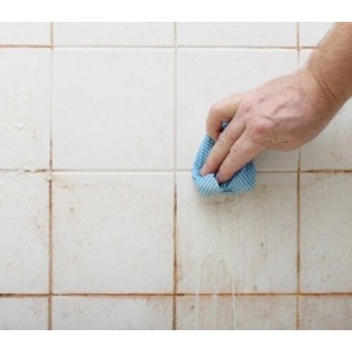 Bionyx Sanitairreiniger - 750 ml - 100% biologisch