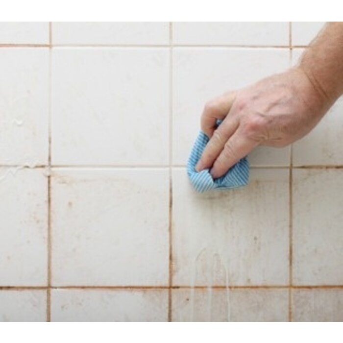 Bionyx Sanitairreiniger - 750 ml - 100% biologisch