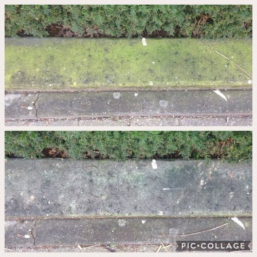 Bionyx Buitenaanslag reiniger - 0,75 of 5 liter - 100% biologisch