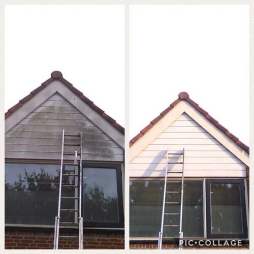 Bionyx Buitenaanslag reiniger - 0,75 of 5 liter - 100% biologisch