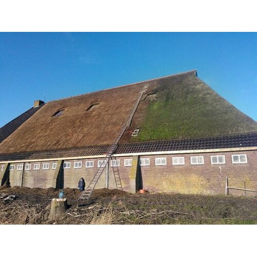 Bionyx Buitenaanslag reiniger - 0,75 of 5 liter - 100% biologisch