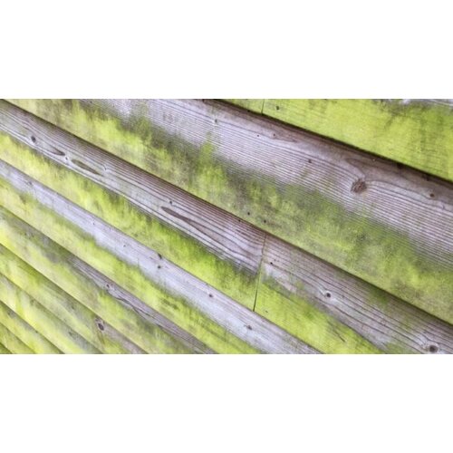 Bionyx Buitenaanslag reiniger - 0,75 of 5 liter - 100% biologisch