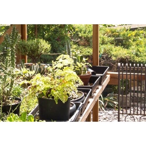 Gabriel Ash Classic "Twelve" - 360 cm breed - Schuifdeur - Kweekkas hout