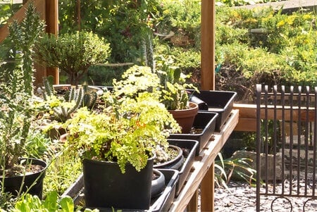 Gabriel Ash Classic "Twelve" - 360 cm breed - Schuifdeur - Kweekkas hout