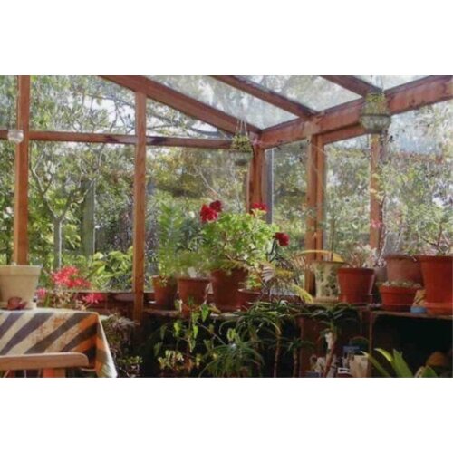 Gabriel Ash Classic "Lean-To Ten" - 3.00 meter breed - kweekkas tegen muur