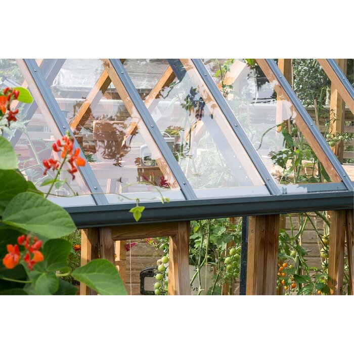 Gabriel Ash RHS "Rosemoor" - houten onderrand - kas