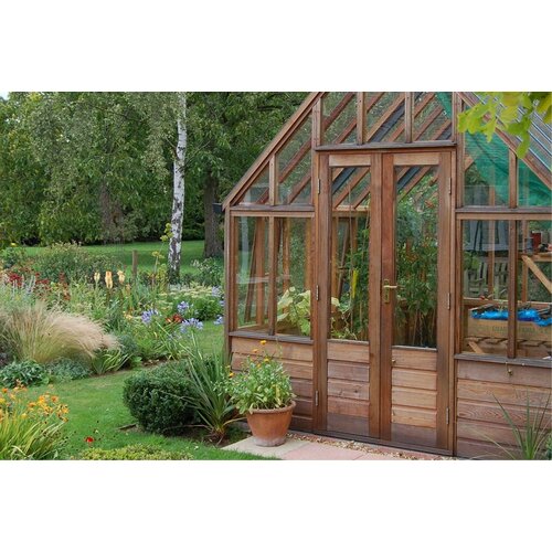 Gabriel Ash RHS "Wisley" - op houten onderrand - kweekkas