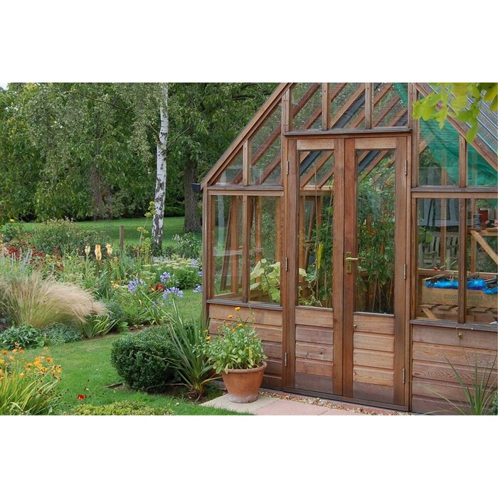 Gabriel Ash RHS "Wisley" - op houten onderrand - kweekkas