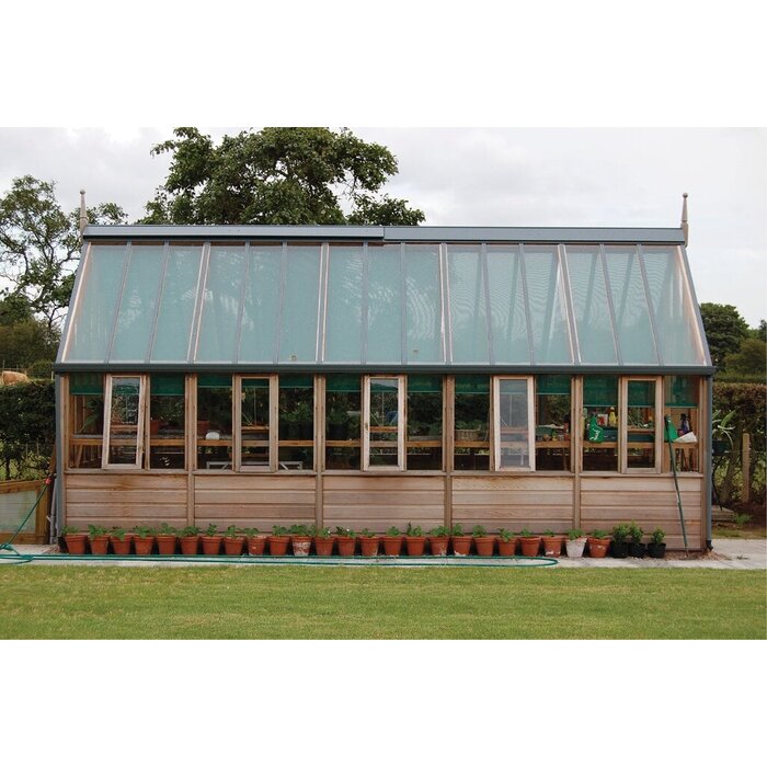 Gabriel Ash RHS "Wisley" - op houten onderrand - kweekkas