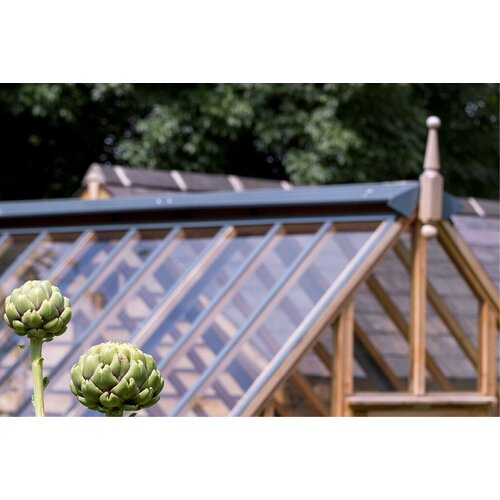 Gabriel Ash RHS "Wisley" - op houten onderrand - kweekkas