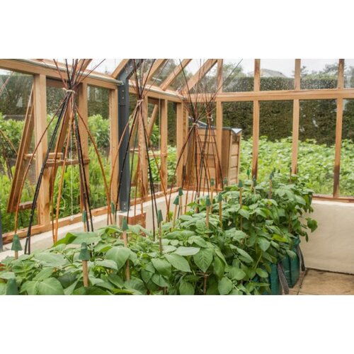 Gabriel Ash Cotswold "Nine" - Tuinkas - 271 cm breed