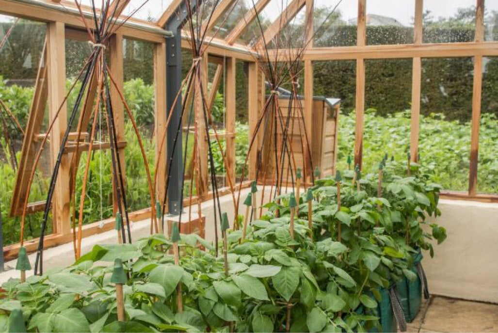 Gabriel Ash Cotswold "Nine" - Tuinkas - 271 cm breed