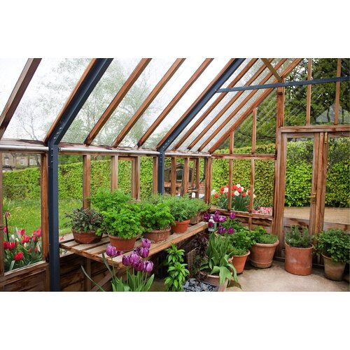 Gabriel Ash RHS "Harlow Carr" - houten onderrand - kweekkas