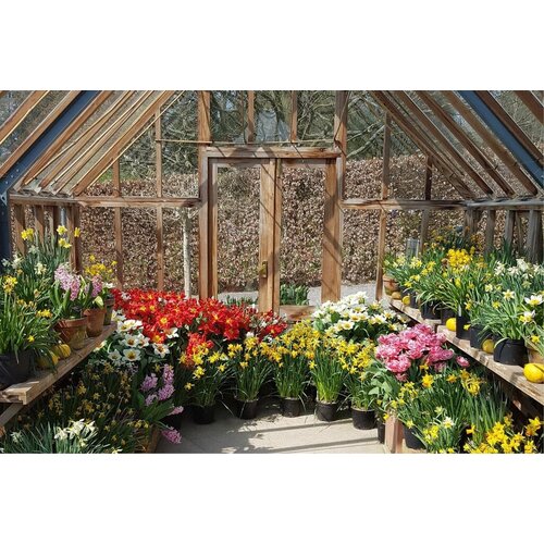 Gabriel Ash RRHS "Harlow Carr" - stenen muur - plantenkas