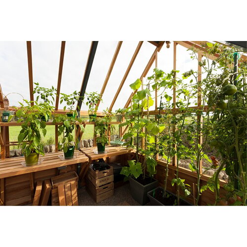 Gabriel Ash RHS "Portico" - kas houten onderrand - portiek - royale kas - citrusbomen kweken