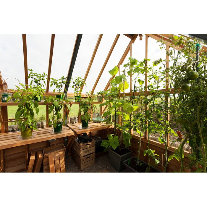 Gabriel Ash RHS "Portico" - kas houten onderrand - portiek - royale kas - citrusbomen kweken