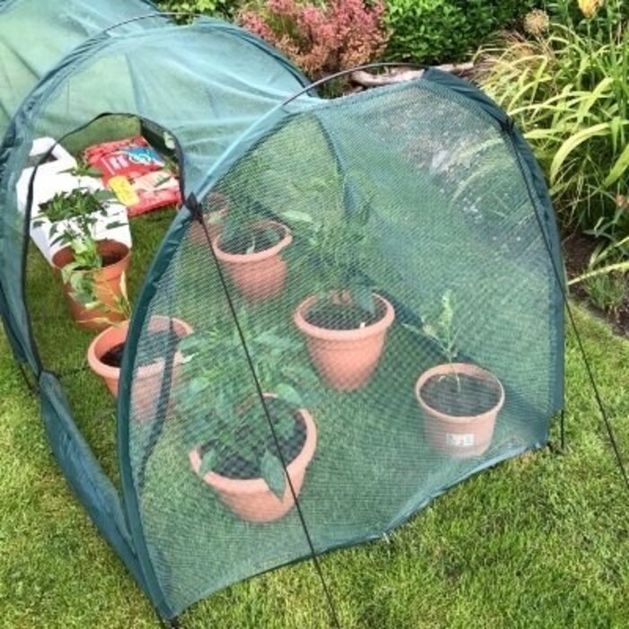 GardenSkill Pop-up tunnel -  moestuinen - potplanten - volkstuin - kippenren