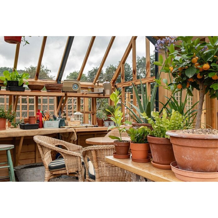 Gabriel Ash RHS "Portico" - stenen muur - portiek - royale kas - citrusbomen kweken