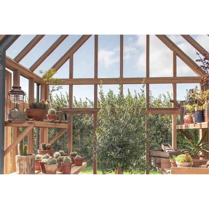 Gabriel Ash RHS Planthouse "Hyde Hall" - op stenen muur - dubbele deur- verhoogd