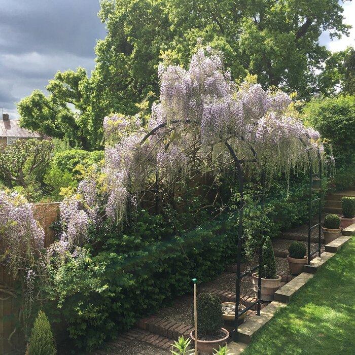 Harrod Romeinse rozenboog - 1,5 x 0,6 x 2,45 meter - Staal