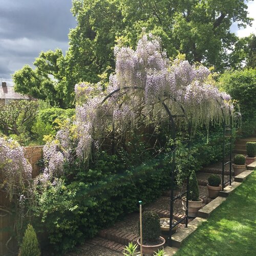 Harrod Romeinse Rozenboog - Diverse maten - Staal