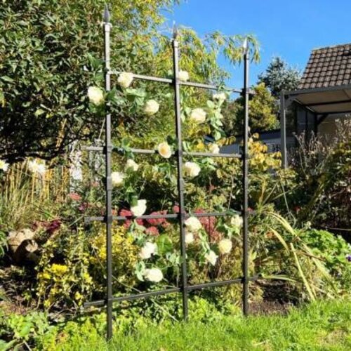 GardenSkill Klimrek Trellis - plantensteun klimplanten - 2 x 90 cm x 150 cm