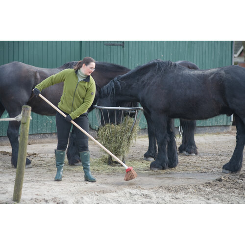 Bezemsteel - 150cm - Tauari - dikte 2.8 cm - voor straatbezem