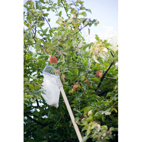 Bezemsteel - 150cm - Tauari - dikte 2.4 cm - voor plukzak