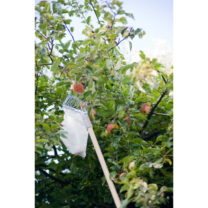 Bezemsteel - 150cm - Tauari - dikte 2.4 cm - voor plukzak