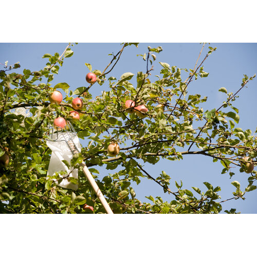 De Wiltfang Bezemsteel - 150cm - Tauari - dikte 2.4 cm - voor plukzak