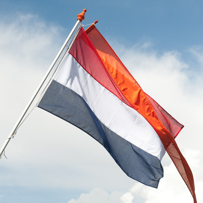 De Wiltfang Vlaggenstok compleet - vlag - wimpel - oranje - 2 meter