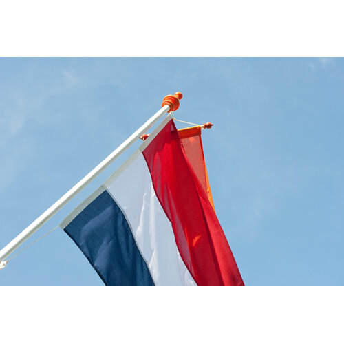 De Wiltfang Vlaggenstok compleet - vlag - wimpel - oranje - 2 meter