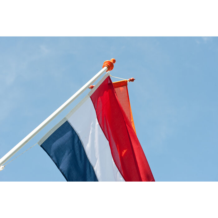 De Wiltfang Vlaggenstok compleet - vlag - wimpel - oranje - 2 meter