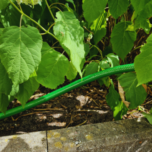 De Wiltfang Tuinslang per meter - Groen - Bioflex - Anti-alglaag