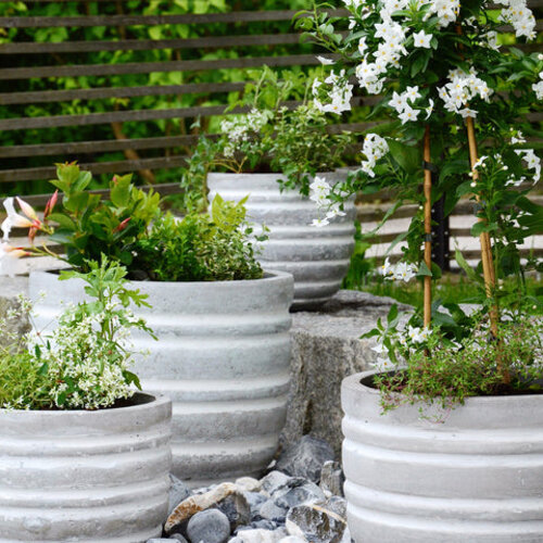 Burgon & Ball RHS Containerschepje - efficiënt - potten vullen - koolstofstaal