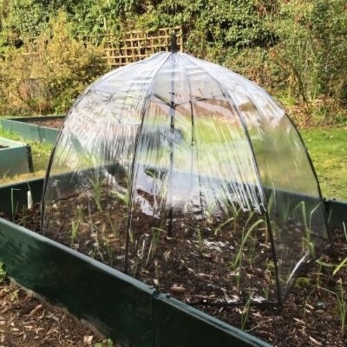 GardenSkill Planten Paraplu - Cloche - diameter 1 meter
