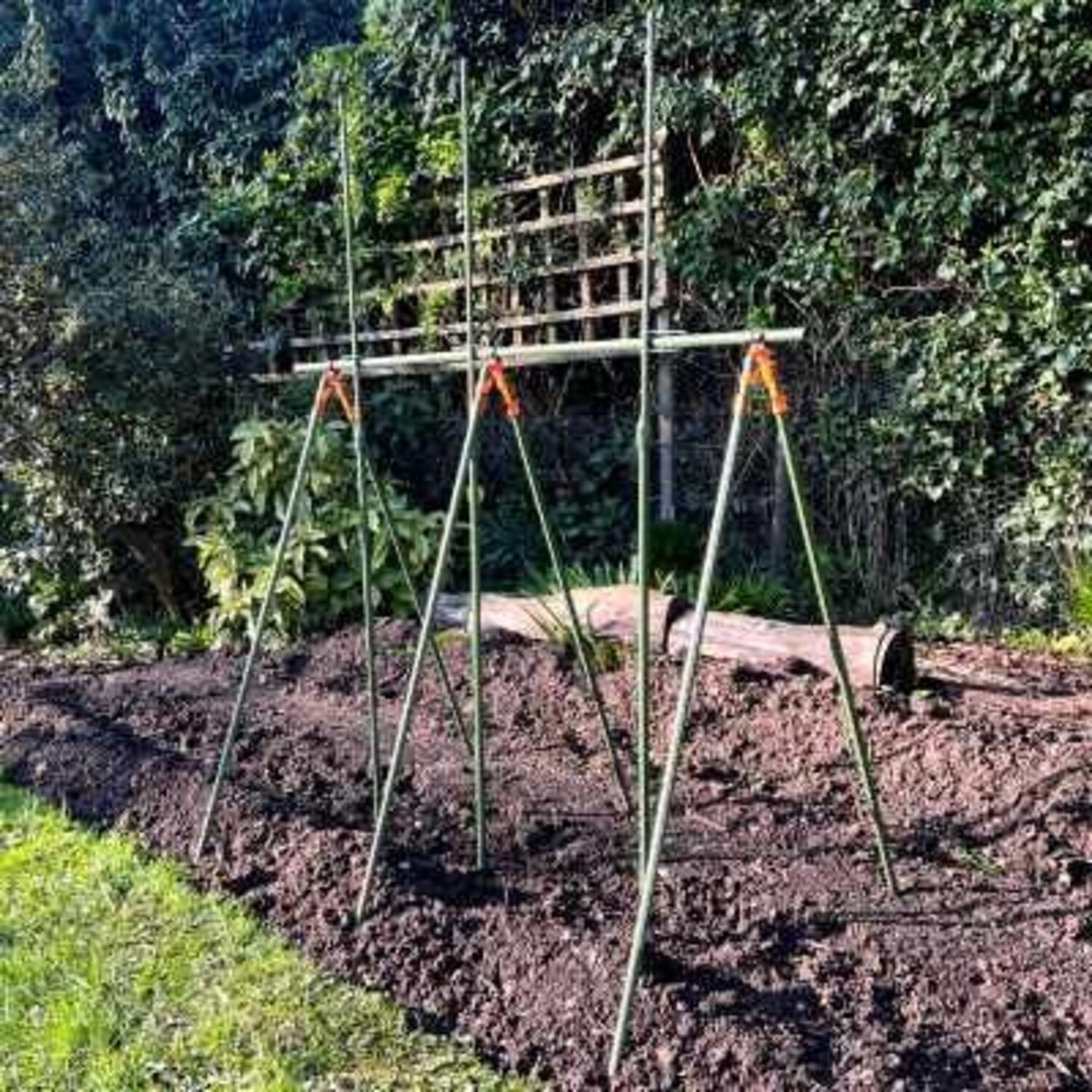 2 Pack Tuin Trellis voor Planten en Bloemen - 48 Multi-functionele Klimplant Ondersteuning voor Potplanten en Tomatenkooien