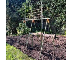 GardenSkill Tomatenframe - plantensteun voor klimmers
